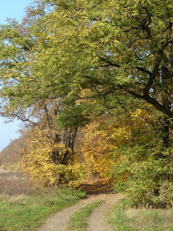 Gospodarstwo Agroturystyczne Lesniczowka Lubin  Экстерьер фото