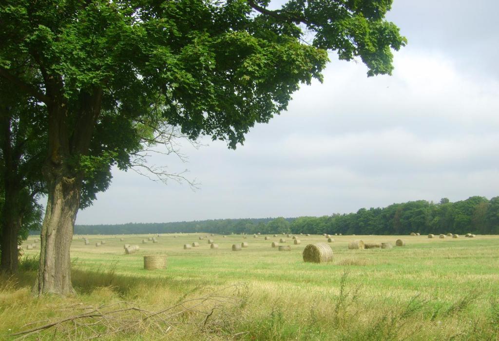 Gospodarstwo Agroturystyczne Lesniczowka Lubin  Экстерьер фото