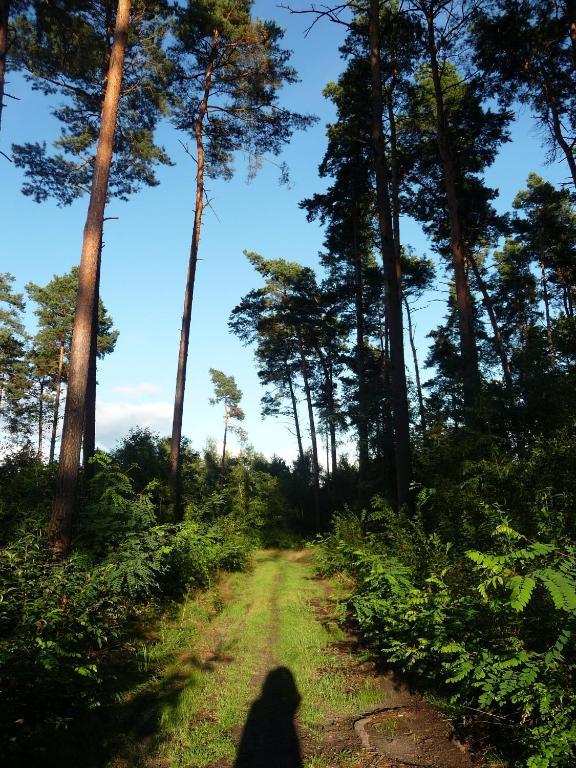 Gospodarstwo Agroturystyczne Lesniczowka Lubin  Экстерьер фото